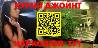 крисы Тверь