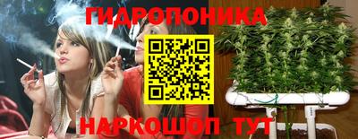 крисы Тверь