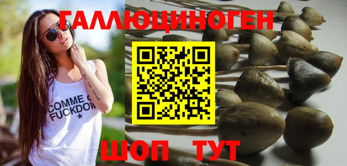 Галлюциногенные грибы Magic Shrooms  Вход с VPN  Павлово 